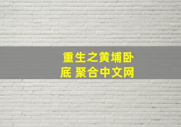 重生之黄埔卧底 聚合中文网